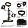 Boundless Calexotics Attaches Sm Collar Body Restraint Boundless